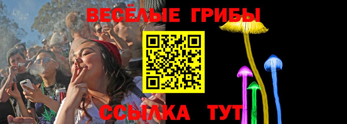 Галлюциногенные грибы Cubensis Георгиевск